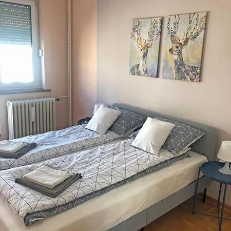 Quince Apartment-free Parking-city Center Apartment *